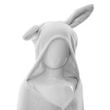 Rabbit Ears Blanket